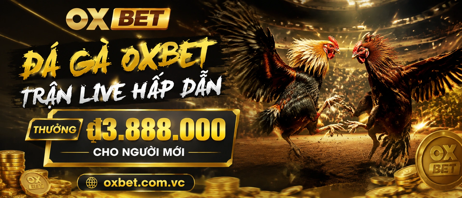 Live Đá Gà Trang Đá Gà Trực Tiếp với giao diện nhẹ