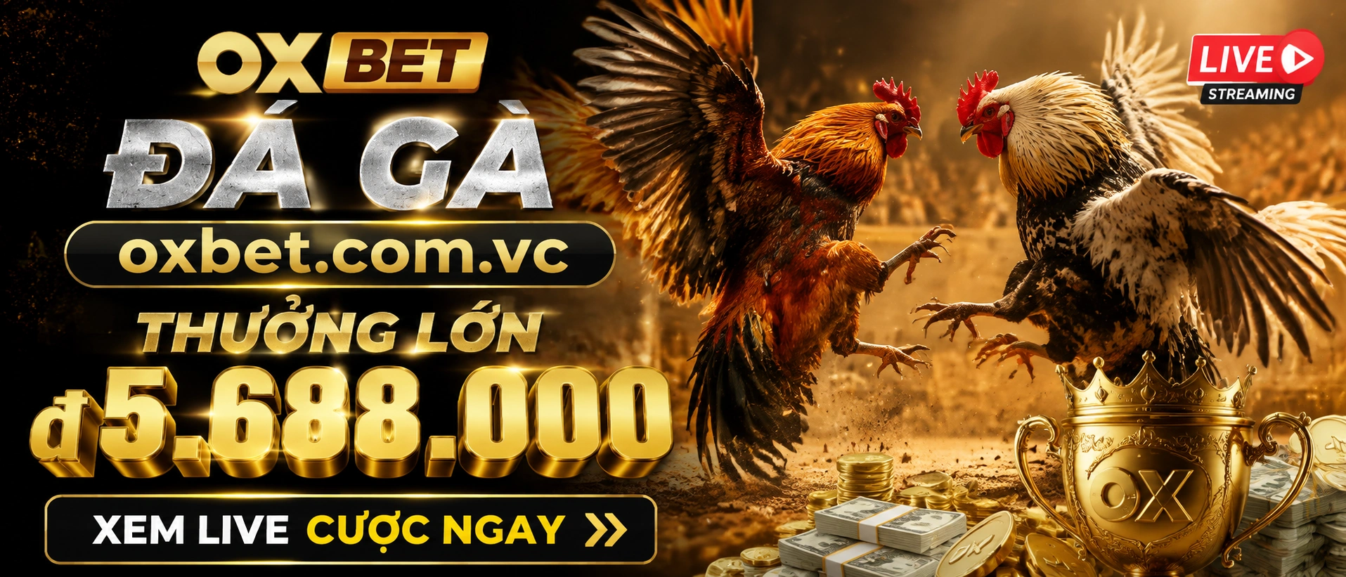 Đá Gà Cựa Sắt Danh mục Đá Gà Cựa Sắt trên oxbet.com.vc